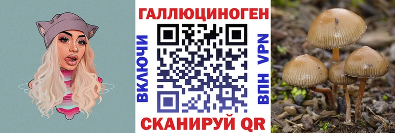 Псилоцибиновые грибы Cubensis  даркнет сайт  Невьянск 